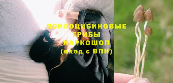 винт Переславль-Залесский