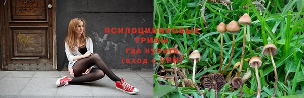 герыч Алзамай