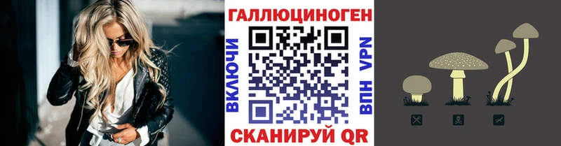 где найти наркотики  Тогучин  Галлюциногенные грибы MAGIC MUSHROOMS 